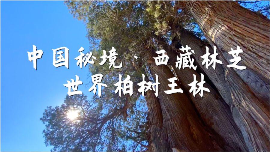 劝告:男人的5个行为,会让前列腺“不堪重负”,别太放纵了